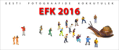 EFK 2016 1002x422pix.jpg