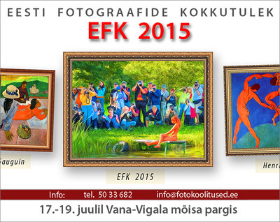 EFK 2015 plakat.jpg